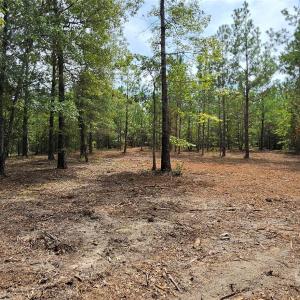 Photo #11 of 1050 Mcqueen, Patrick, SC