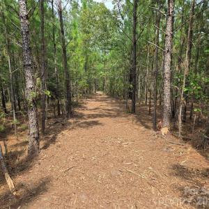 Photo #37 of 1050 Mcqueen, Patrick, SC