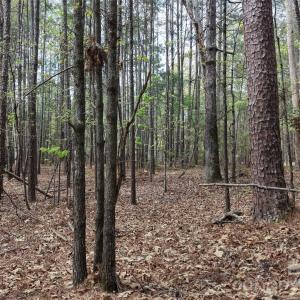 Photo #17 of TBD RIVER BLUFF, Lilesville, NC