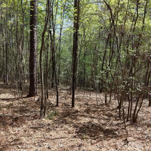 Photo #20 of TBD RIVER BLUFF, Lilesville, NC