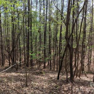 Photo #18 of TBD RIVER BLUFF, Lilesville, NC