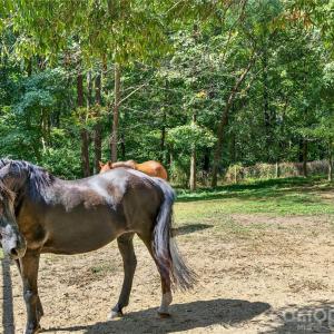 Photo #40 of 205 Airport, Monroe, NC