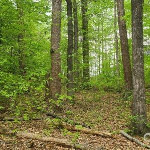 Photo #4 of 453 Sunset Pointe, Salisbury, NC