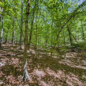 Photo #5 of Sunset, Asheboro, NC