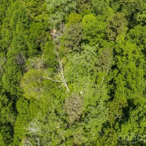 Photo #14 of Sunset, Asheboro, NC