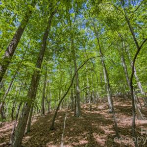 Photo #41 of Sunset, Asheboro, NC