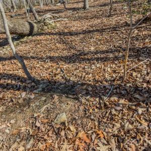 Photo #17 of Sunset, Asheboro, NC