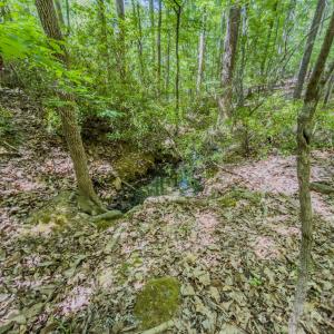 Photo #37 of Sunset, Asheboro, NC