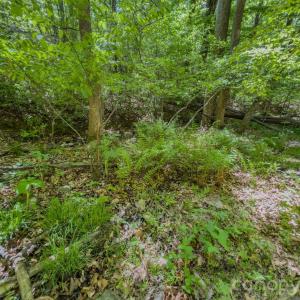 Photo #6 of Sunset, Asheboro, NC