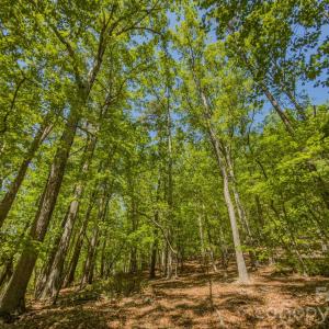 Photo #32 of Sunset, Asheboro, NC