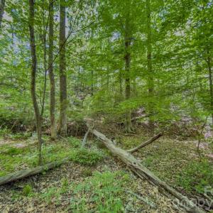 Photo #8 of Sunset, Asheboro, NC