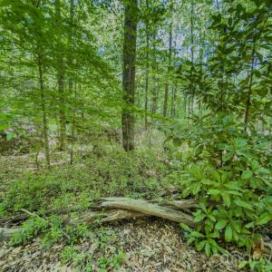 Photo #33 of Sunset, Asheboro, NC