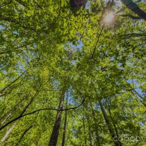 Photo #30 of Sunset, Asheboro, NC