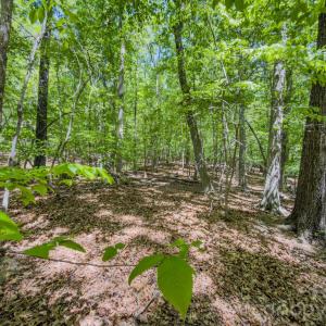 Photo #42 of Sunset, Asheboro, NC