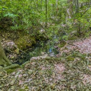 Photo #7 of Sunset, Asheboro, NC