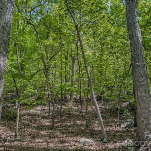 Photo #26 of Sunset, Asheboro, NC