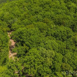 Photo #22 of Sunset, Asheboro, NC