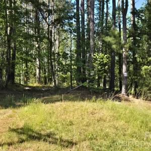 Photo #13 of Blaine, Badin Lake, NC