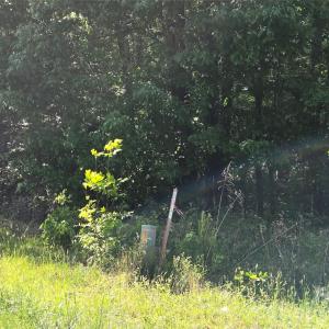 Photo #10 of Blaine, Badin Lake, NC