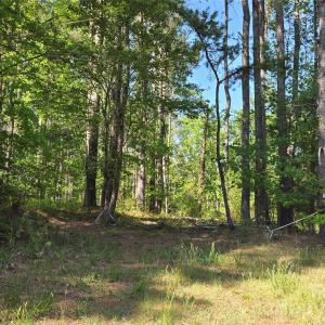 Photo #2 of Blaine, Badin Lake, NC