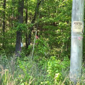 Photo #11 of Blaine, Badin Lake, NC