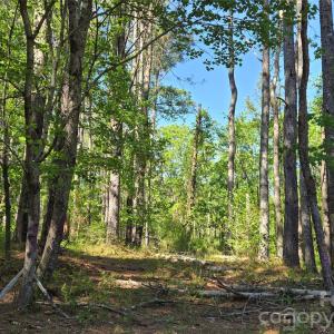 Photo #6 of Blaine, Badin Lake, NC