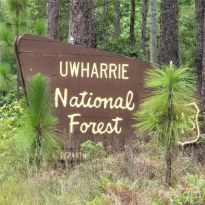 Photo #15 of Blaine, Badin Lake, NC