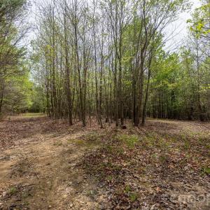 Photo #6 of Blackwelder, Salisbury, NC