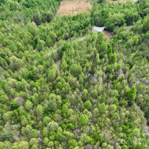 Photo #13 of Blackwelder, Salisbury, NC