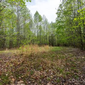 Photo #4 of Blackwelder, Salisbury, NC