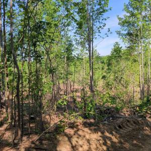 Photo #11 of 808 Neely, Asheboro, NC