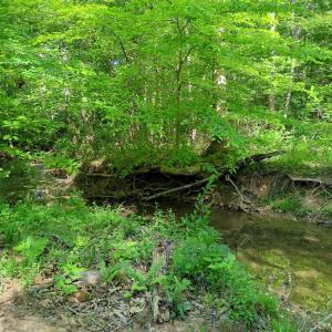 Photo #15 of 808 Neely, Asheboro, NC