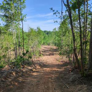 Photo #16 of 808 Neely, Asheboro, NC