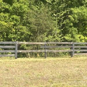 Photo #4 of 1628 Sherrer, York, SC