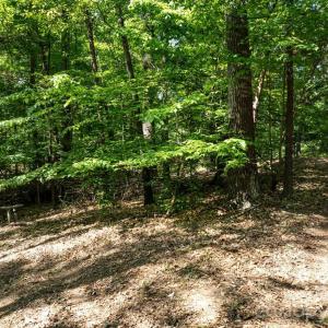 Photo #20 of 2586 Holbrook, Fort Mill, SC