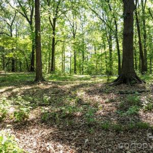 Photo #16 of 2586 Holbrook, Fort Mill, SC