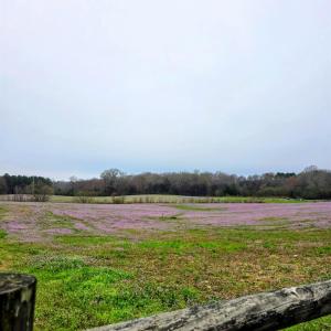 Photo #2 of 24013 NC 138 HWY, Albemarle, NC