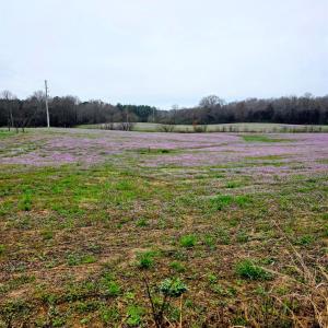 Photo #4 of 24013 NC 138 HWY, Albemarle, NC