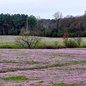 Photo #3 of 24013 NC 138 HWY, Albemarle, NC