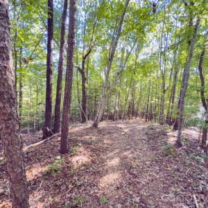 Photo #27 of Hwy 731, Candor, NC