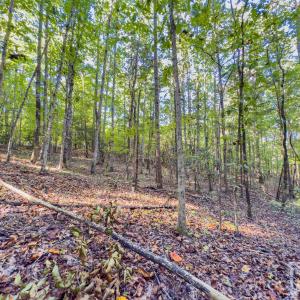 Photo #19 of Hwy 731, Candor, NC