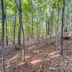 Photo #25 of Hwy 731, Candor, NC