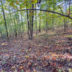 Photo #32 of Hwy 731, Candor, NC