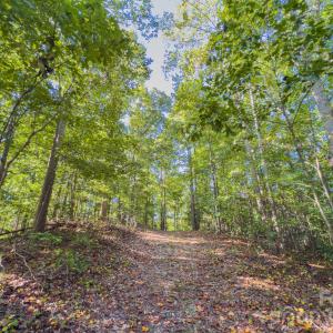 Photo #24 of Hwy 731, Candor, NC