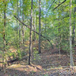 Photo #12 of Hwy 731, Candor, NC