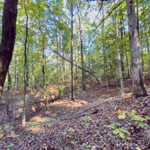 Photo #39 of Hwy 731, Candor, NC