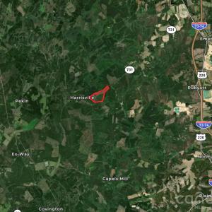 Photo #46 of Hwy 731, Candor, NC