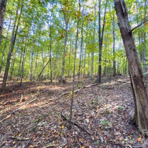 Photo #13 of Hwy 731, Candor, NC