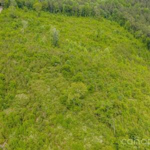 Photo #14 of Hwy 731, Candor, NC