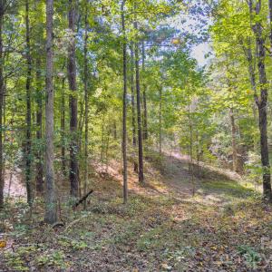 Photo #16 of Hwy 731, Candor, NC